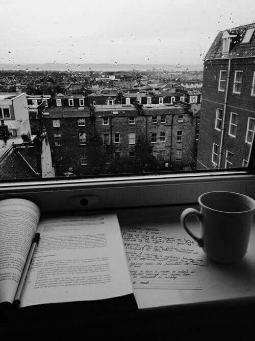 Rain, book, coffee and a view. It can't get any better