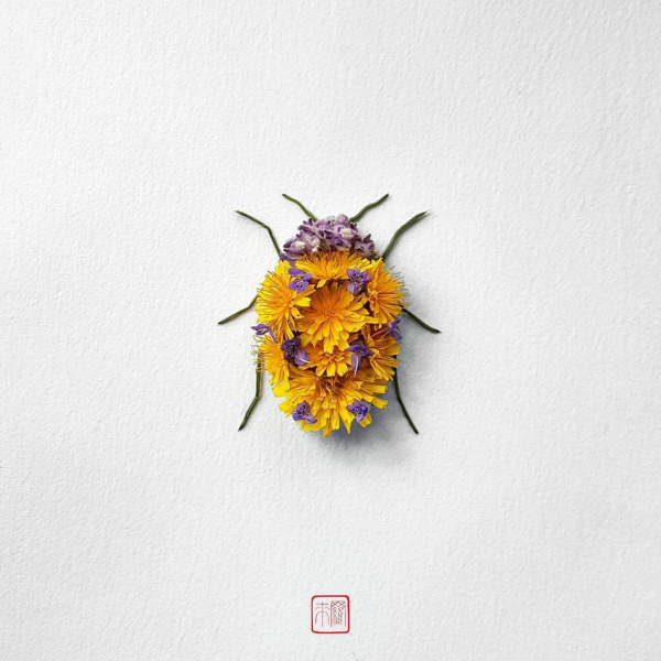Natura Insects – Las delicadas composiciones florales de Raku Inoue