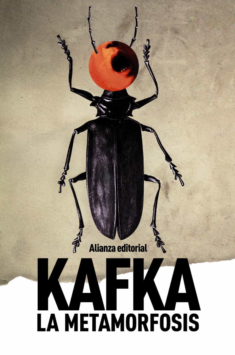 Resultado de imagen para Metamorfosis de Franz Kafka